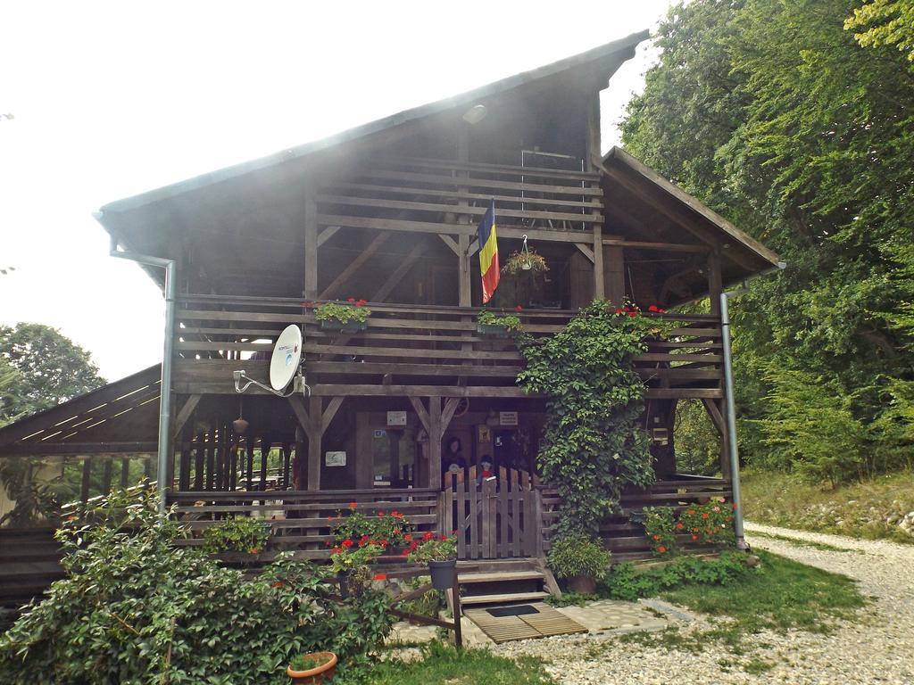 Hotel Cabana La noi Rîşnov Exterior foto